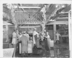 Workers loading chicken line at the California Poultry, Incorporated, Fulton, California, 1958 (Digital Object)