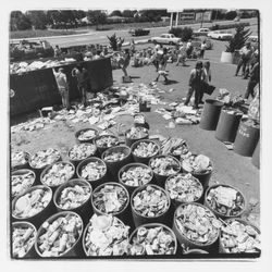 Metal can barrels at the Recycling Center, Santa Rosa, California, 1971 (Digital Object)