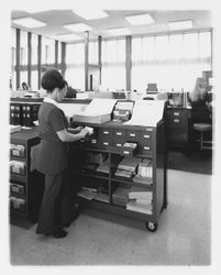 Exchange Bank staff member works at a card file cabinet at the Coddingtown office of the Exchange Bank, Santa Rosa, California, 1972 (Digital Object)