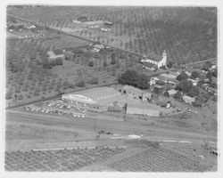 Aerial view of California Poultry, Incorporated, Fulton, California, 1958 (Digital Object)