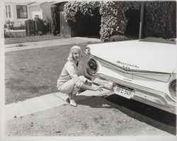 Miss Sonoma County, Chonne Patton putting a bumper sticker on a Ford Fairlane, Santa Rosa, California, 1959 (Digital Object)