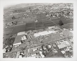 Aerial view of Roseland Shopping Center, Santa Rosa, California, 1960 (Digital Object)