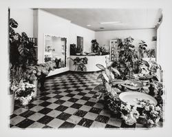 Interior of Quality Florists, Santa Rosa, California, 1960 (Digital Object)