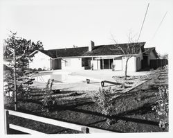 Backyard and swimming pool of a home in the Town and Country area, Santa Rosa, California, 1967 (Digital Object)