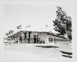 Arts and Crafts building at the Fairgrounds, Santa Rosa, California, 1960 (Digital Object)