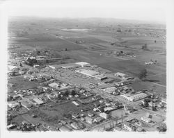 Aerial view of Roseland Shopping Center, Santa Rosa, California, 1960 (Digital Object)