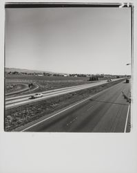 Highway 101 near Petaluma Hill Road, Petaluma, California, 1977 (Digital Object)