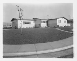 Model homes on Allison Drive, Rohnert Park, California, 1958 (Digital Object)