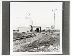 Lakeville Growers railroad spur, Petaluma, California, 1977 (Digital Object)