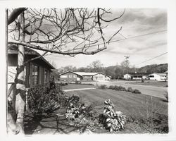 Homes in the Larkfield area, Santa Rosa, California, 1960 (Digital Object)