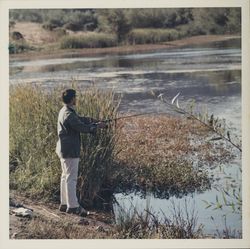 Fishing at Spring Lake, Santa Rosa, California, 1970 (Digital Object)