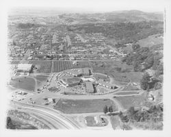 Aerial view of Flamingo Hotel, Santa Rosa, California, 1960 (Digital Object)