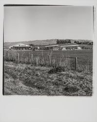 Wickes Lumber, Petaluma, California, 1977 (Digital Object)