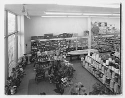 Interior of Golden West Store, Santa Rosa, California, 1960 (Digital Object)