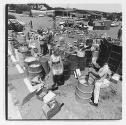 Glass sorting barrels and workers at the Recycling Center, Santa Rosa, California, 1971 (Digital Object)