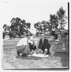 Three men looking at plans for the Tanglewood subdivision, Santa Rosa, California, 1971 (Digital Object)