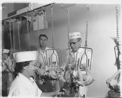 Federal inspector and workers with chicken carcasses at the California Poultry, Incorporated, Fulton, California, 1958 (Digital Object)