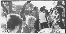 Barbecue at Annadel State Park, Santa Rosa, California, 1971 (Digital Object)