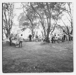 Barbecue at Annadel State Park, Santa Rosa, California, 1971 (Digital Object)