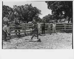 G.K. Hardt employee picnic, Santa Rosa, California, 1958 (Digital Object)