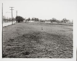 Looking east towards Mendocino Avenue near Steele Lane, Santa Rosa, California, 1958 (Digital Object)