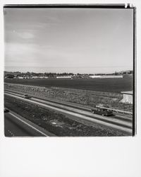 Highway 101 near Old Redwood Highway, Petaluma, California, 1977 (Digital Object)