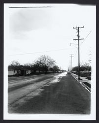 Looking west on Sonoma Ave. at Colorado Blvd, Santa Rosa, California, 1958 (Digital Object)