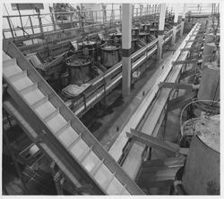 Interior view of the Sebastopol Apple Growers Cooperative plant, Sebastopol, California, 1980 (Digital Object)