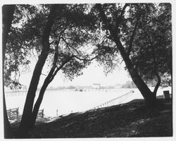 Corral at Palomino Lakes, Cloverdale, California, 1961 (Digital Object)