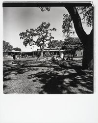 Doyle Center, Santa Rosa, California, 1972 (Digital Object)