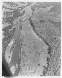 Aerial view of the Russian River above Healdsburg, California, 1958 (Digital Object)