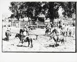 G.K. Hardt employee picnic, Santa Rosa, California, 1958 (Digital Object)