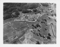 Aerial view of the Greenfield and Deerfield Circles neighborhood, Oakmont, Santa Rosa, California, 1964 (Digital Object)