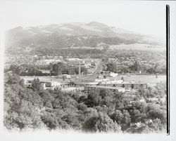 Looking down Farmers Lane from Flamingo Hotel, Santa Rosa, California, 1958 (Digital Object)