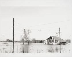 Sebastopol area flood, Sebastopol, California, 1937 (Digital Object)