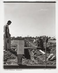 Laying the first foundations at Industrial Park, Santa Rosa, California, 1960 (Digital Object)