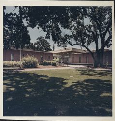 Bailey Hall, Santa Rosa, California, 1970 (Digital Object)