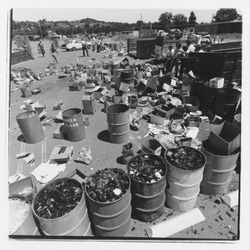 Glass sorting barrels at the Recycling Center, Santa Rosa, California, 1971 (Digital Object)