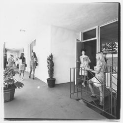 Students by Luther Burbank College of Commerce administrative office, Santa Rosa, California, 1971 (Digital Object)