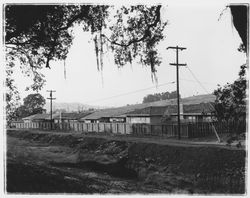 Rear view of Saint Francis Acres model homes at 5720-5802 Monte Verde Drive, Santa Rosa, California, 1958 (Digital Object)
