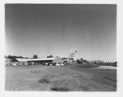 Graded yard and equipment at the Stevenson Equipment Company Incorporated, 3975 Old Redwood Highway, Santa Rosa, California, 1964 (Digital Object)