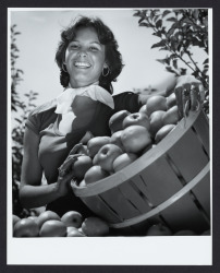 Gravenstein Apple Fair queen Julie Pimental, Sebastopol, California, 1977 (Digital Object)