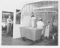 Gutting line at the California Poultry, Incorporated, Fulton, California, 1958 (Digital Object)