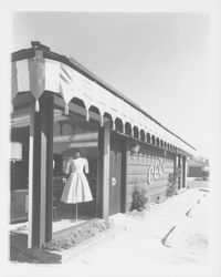 Exterior view of Ceci&#39;s Montgomery Village store, Santa Rosa, California, 1960 (Digital Object)