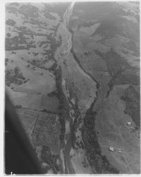 Aerial view of the Russian River above Healdsburg, California, 1958 (Digital Object)