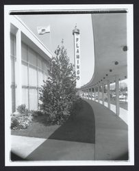 Portico of the Flamingo Hotel, Santa Rosa, California, 1958 (Digital Object)