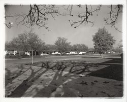 Jacqueline Drive, Santa Rosa, California, 1960 (Digital Object)