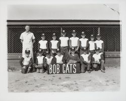 Bob Cats Little League team, Santa Rosa, California, 1960 (Digital Object)