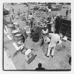 Glass sorting barrels and workers at the Recycling Center, Santa Rosa, California, 1971 (Digital Object)