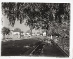Beaver Street at intersection with Neale Drive, Santa Rosa, California, 1958 (Digital Object)